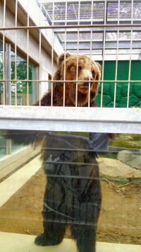 東武動物公園入園割引 実施中 学習院蓁々会